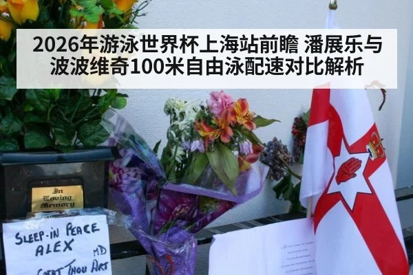 2026年游泳世界杯上海站前瞻 潘展乐与波波维奇100米自由泳配速对比解析